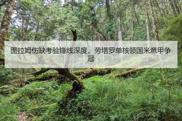 tu-la-mu-shang-que-kao-yan-feng-xian-shen-du-lao-ta-luo-dan-he-ling-guo-mi-yi-jia-zheng-guan-2-916.jpg